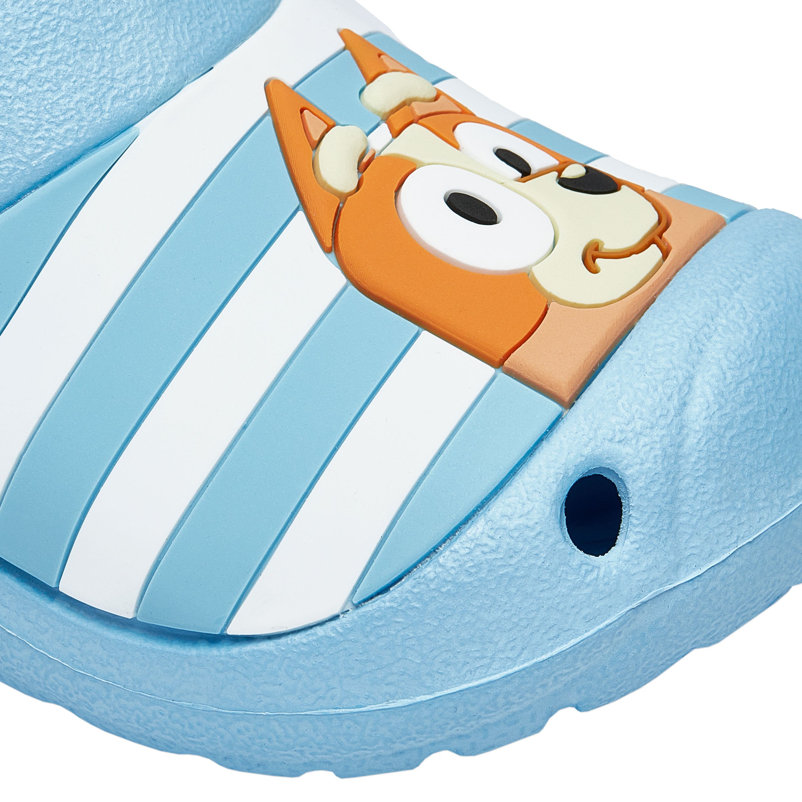 Bluey Clogs