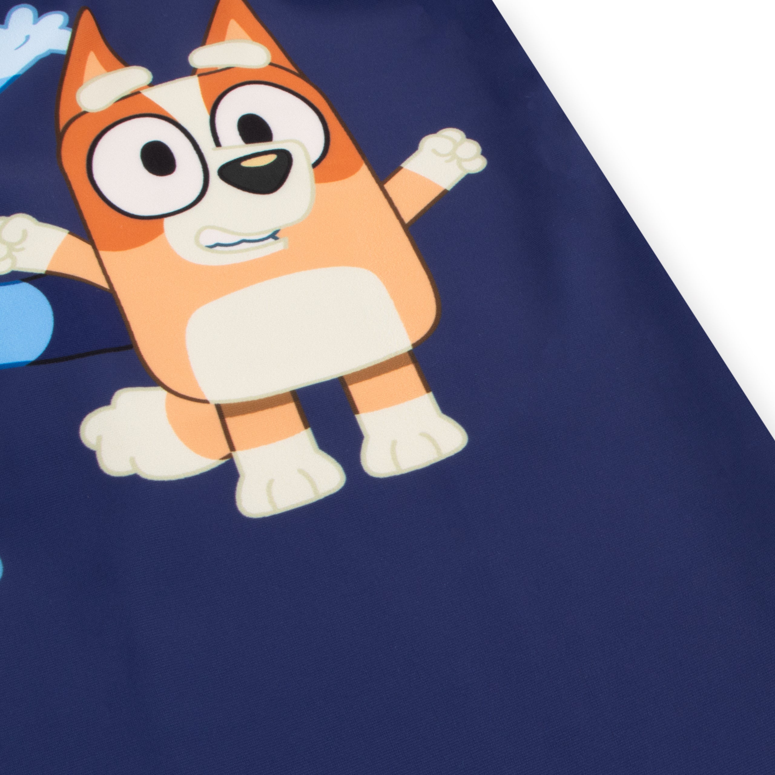 Boys Bluey Swimsuit