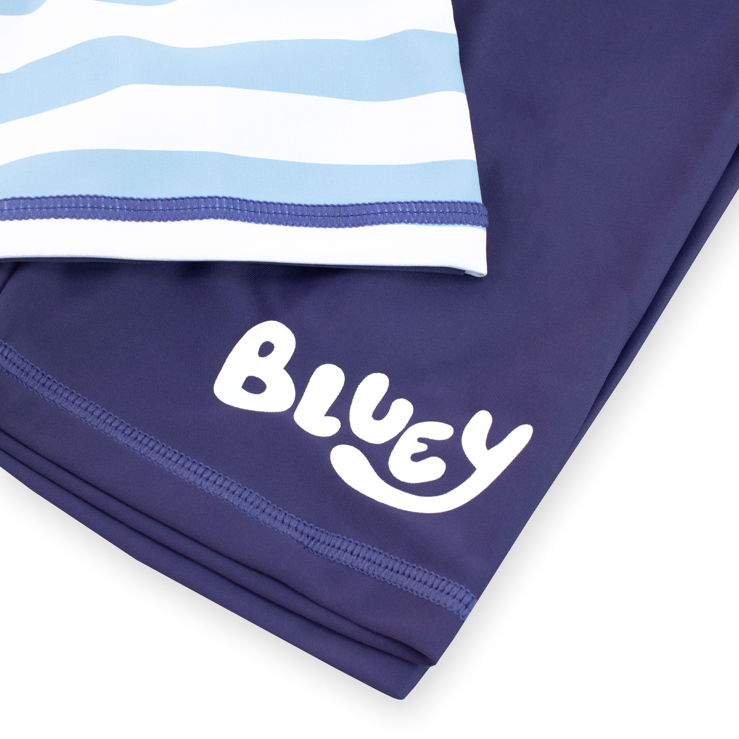 Bluey Two Piece Swim Set