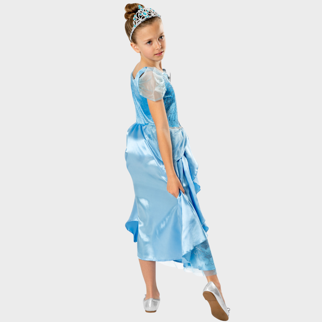 Cinderella Fancy Dress