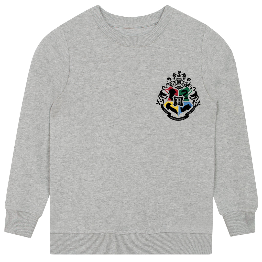 Gryffindor sweatshirt fashion grey