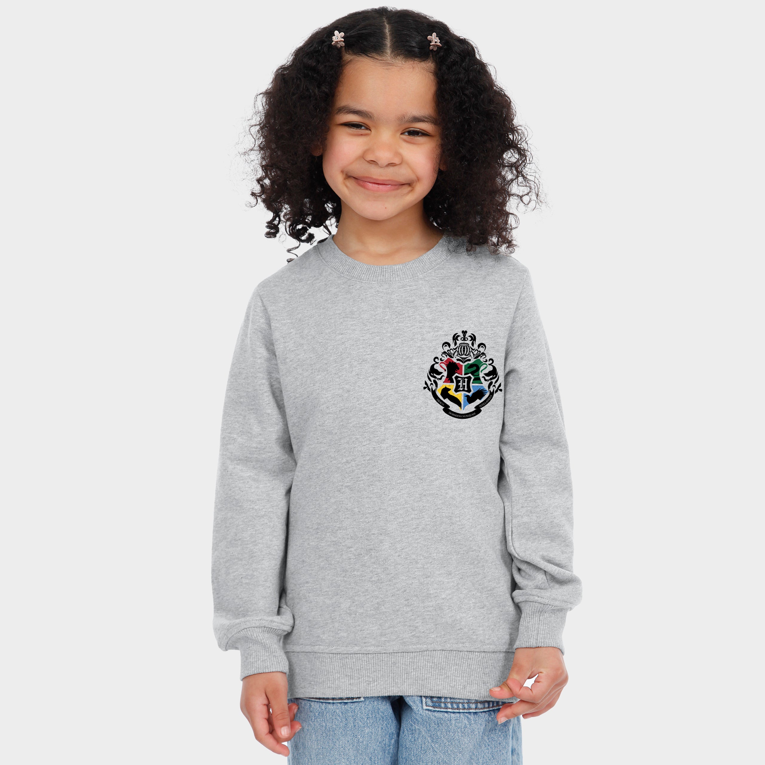 Harry Potter Quidditch Sweatshirt