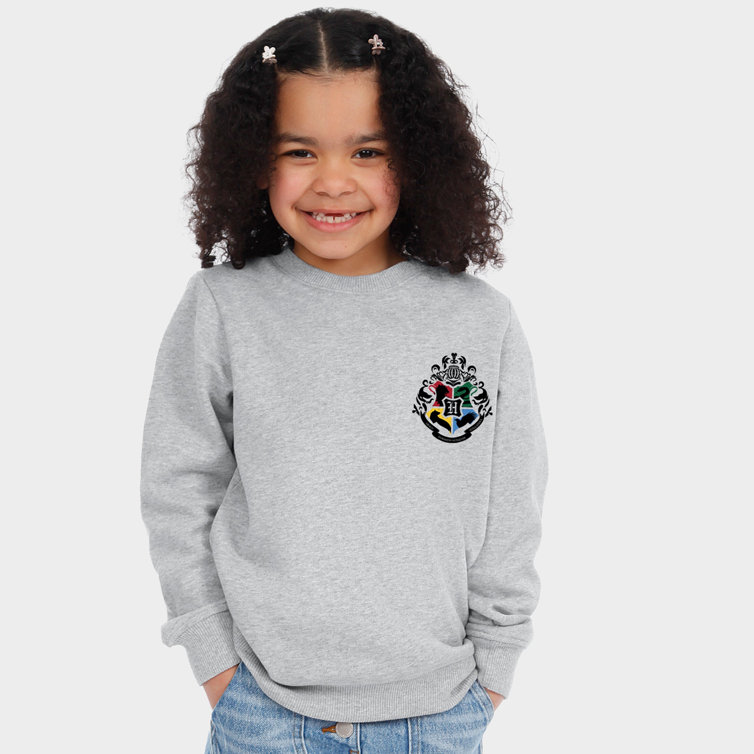 Harry Potter Quidditch Sweatshirt