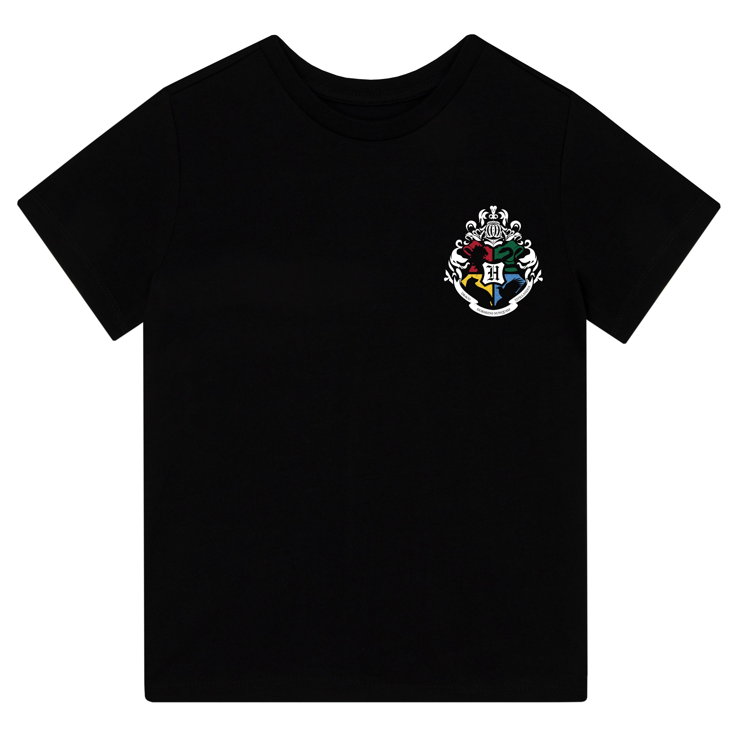 Harry Potter Quidditch T-Shirt