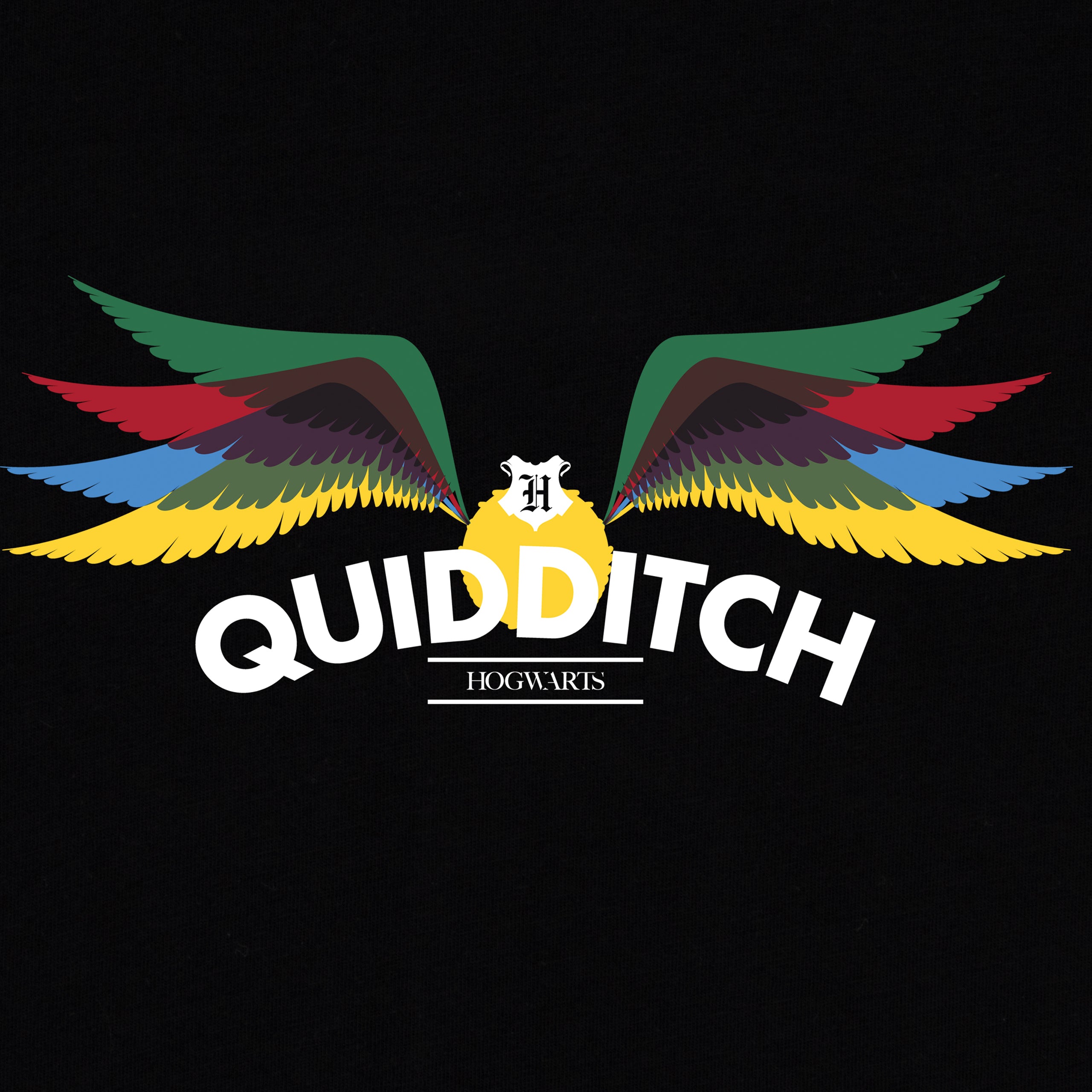 Harry Potter Quidditch T-Shirt