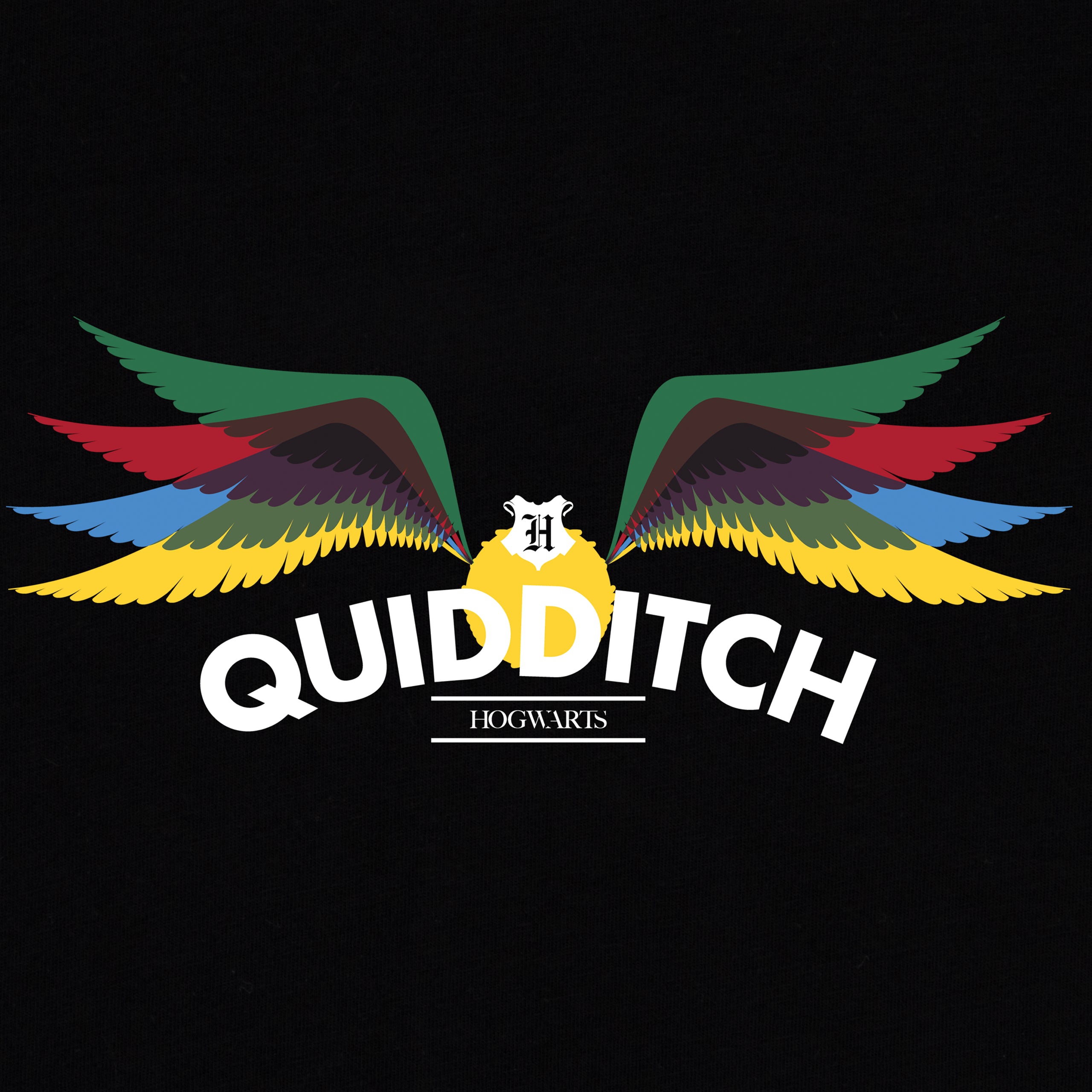 Mens Harry Potter Quidditch T-Shirt