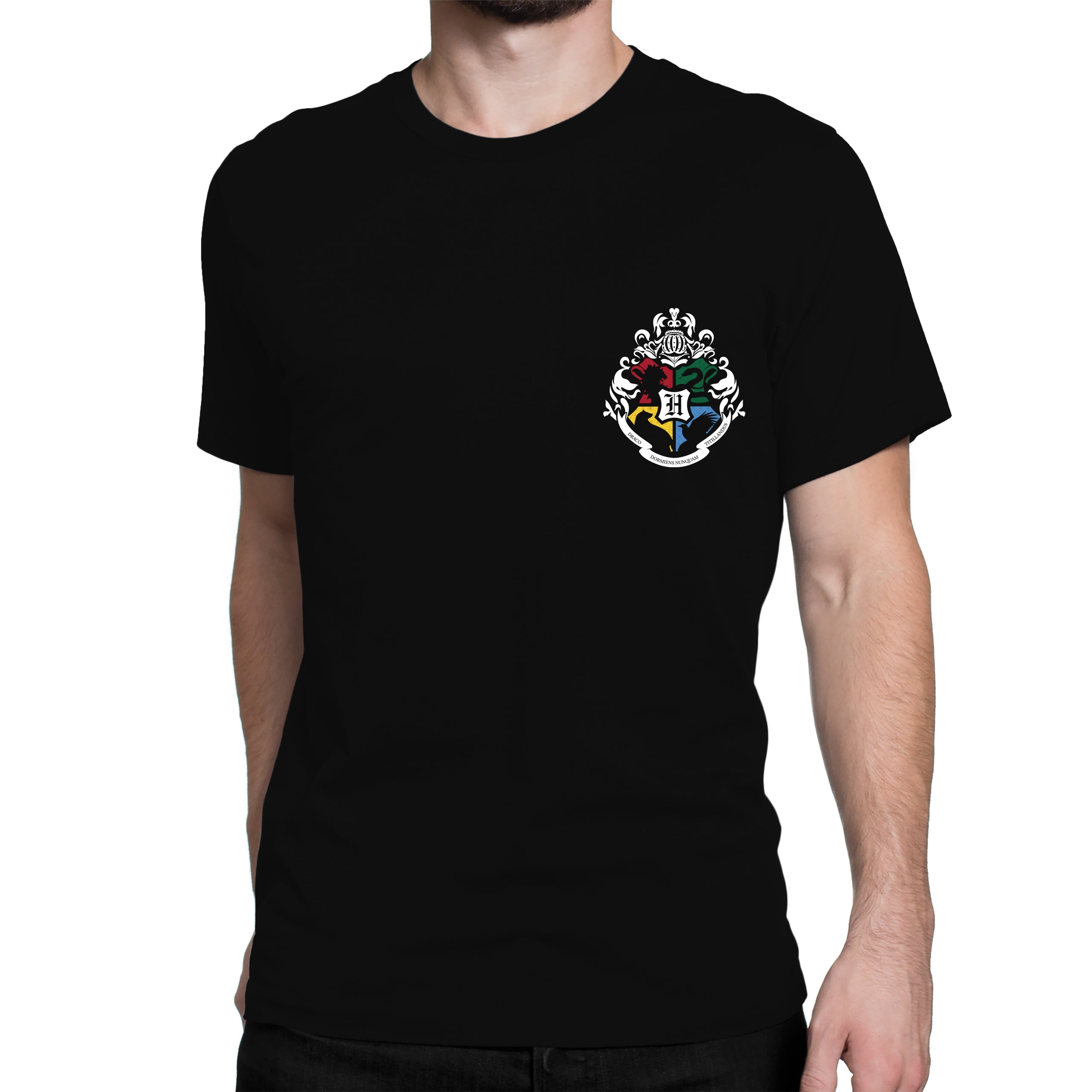 Mens Harry Potter Quidditch T-Shirt