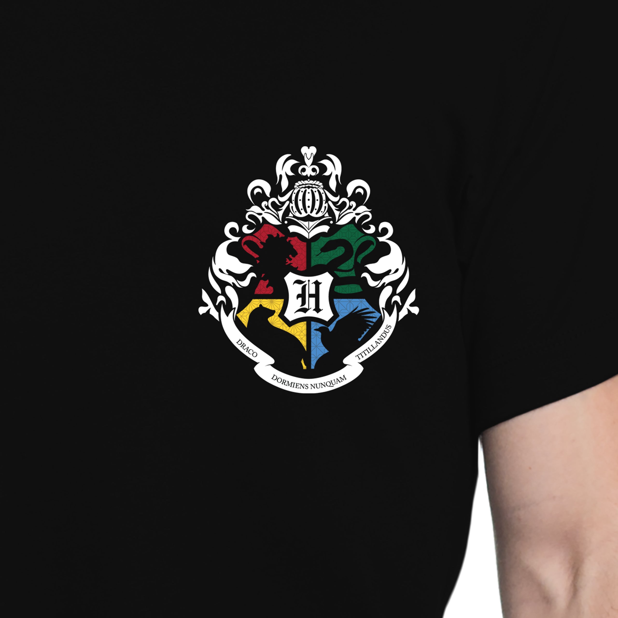 Mens Harry Potter Quidditch T-Shirt