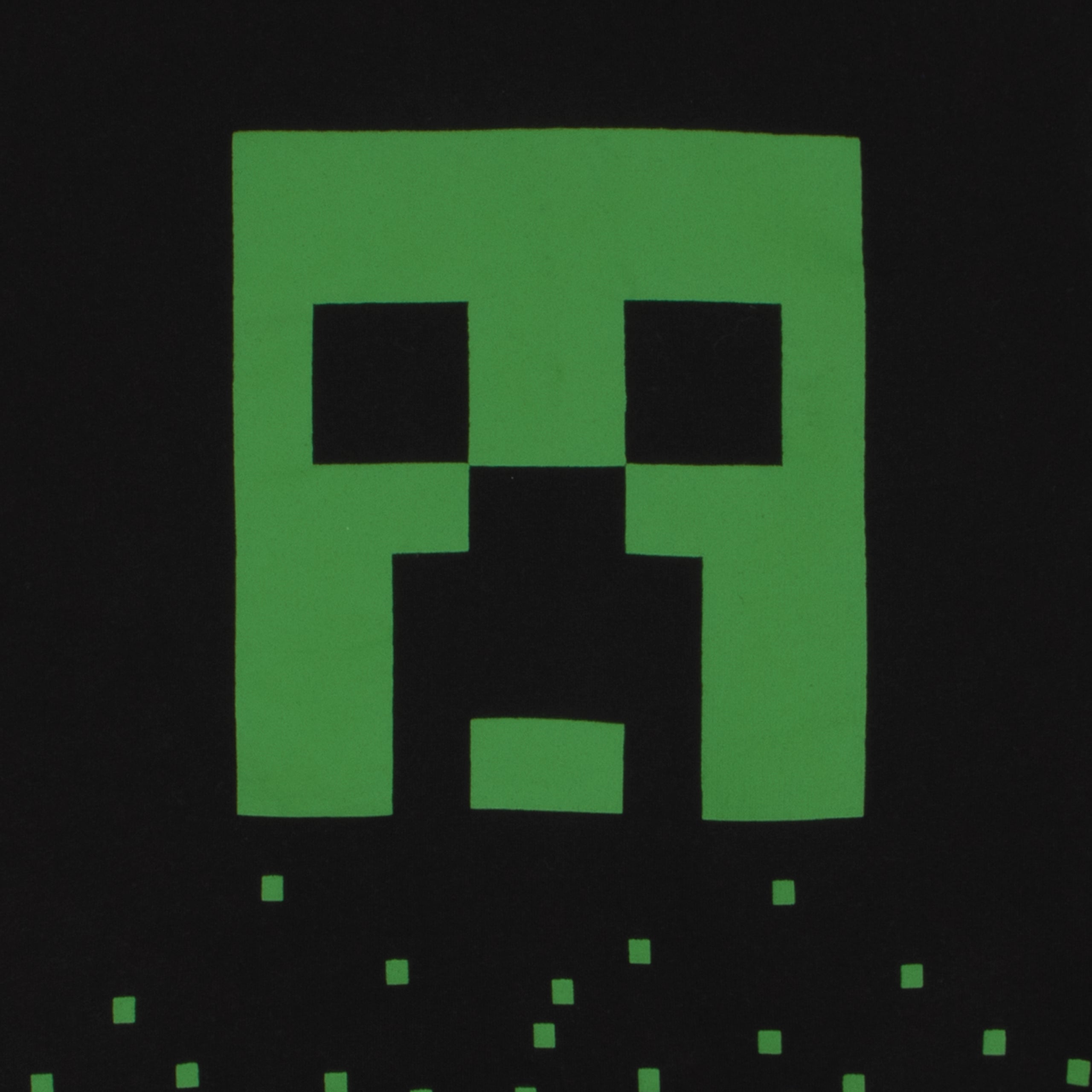 Minecraft Creeper Hoodie