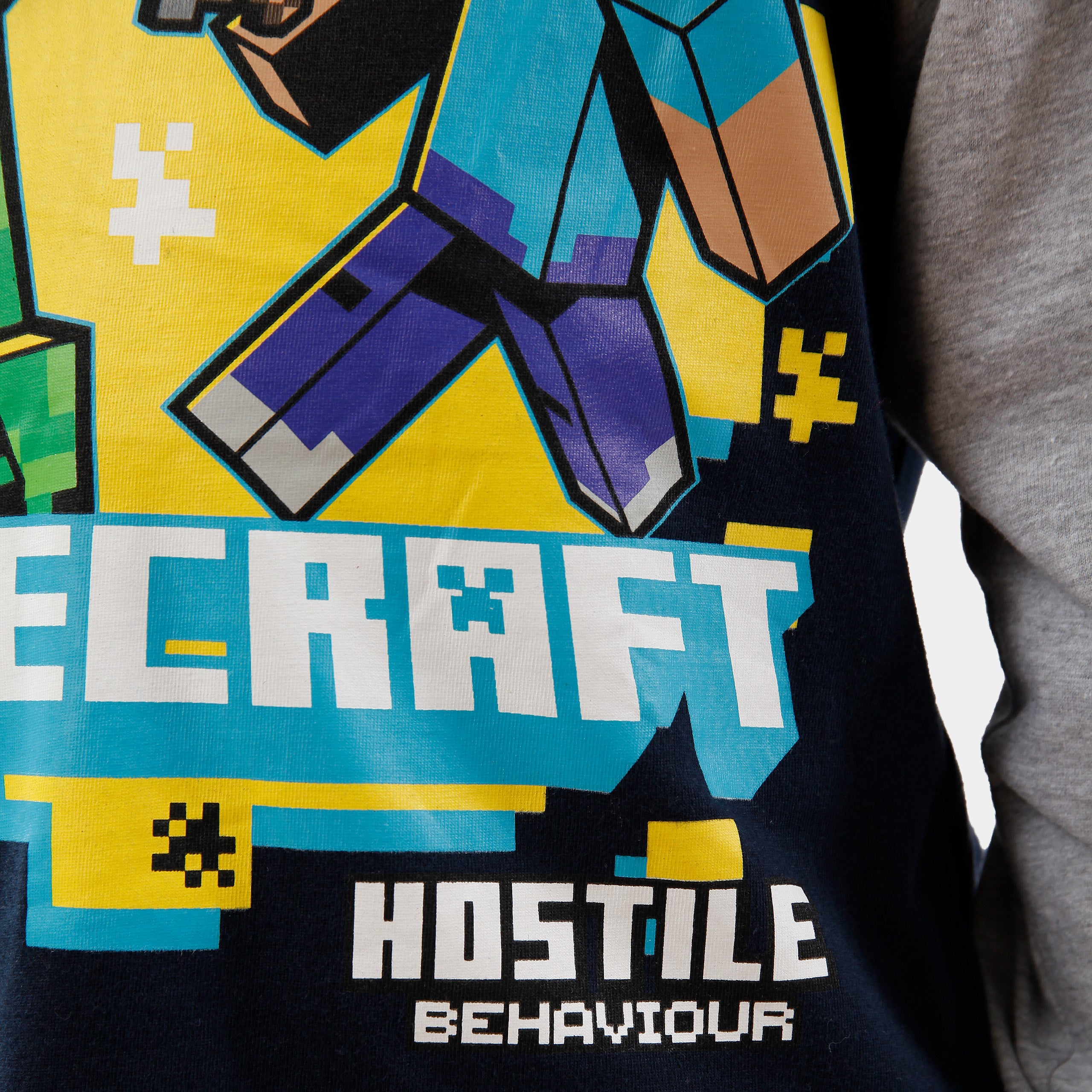 Minecraft Long Sleeve Top