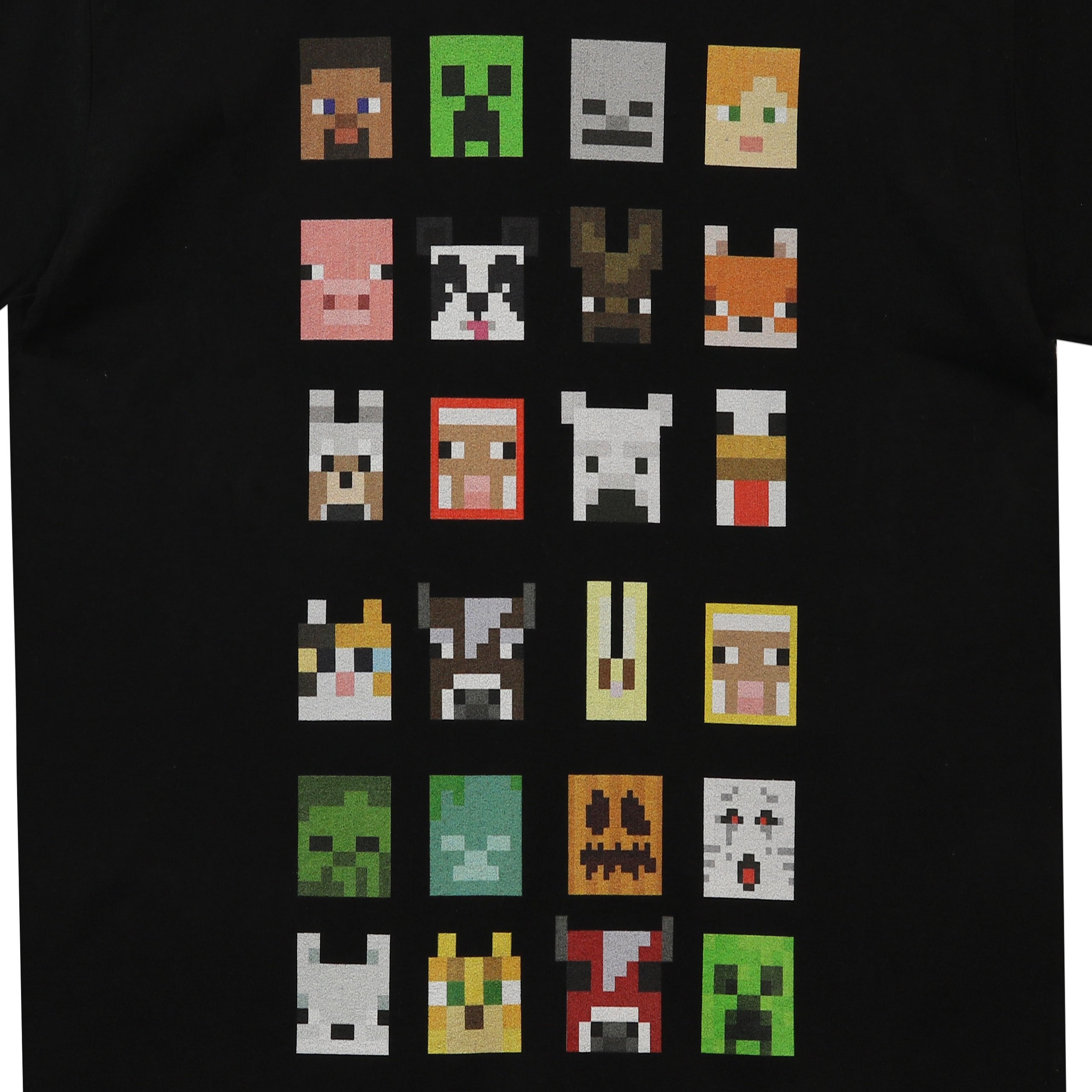 Minecraft T-Shirt