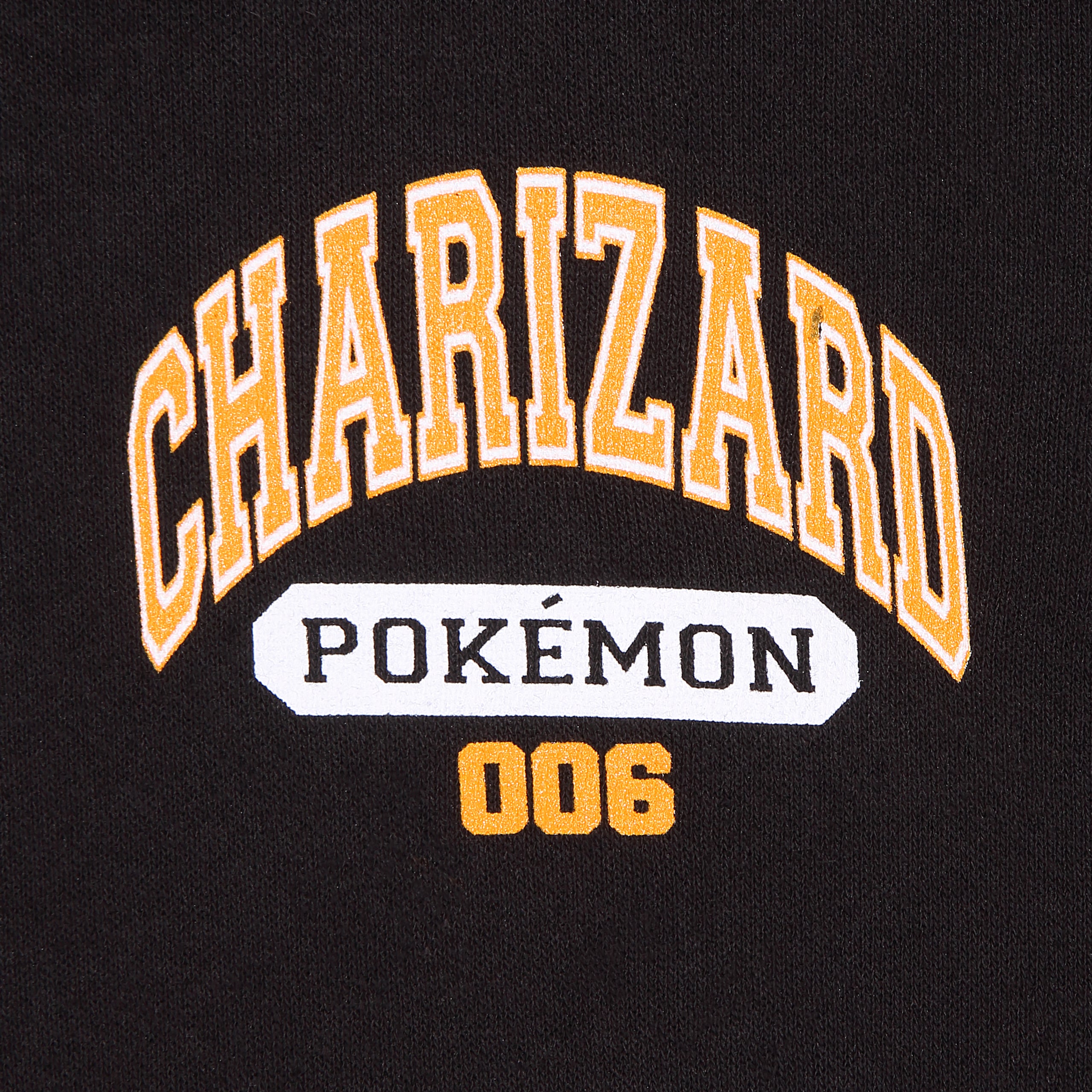 Mens Pokemon Charizard Hoodie