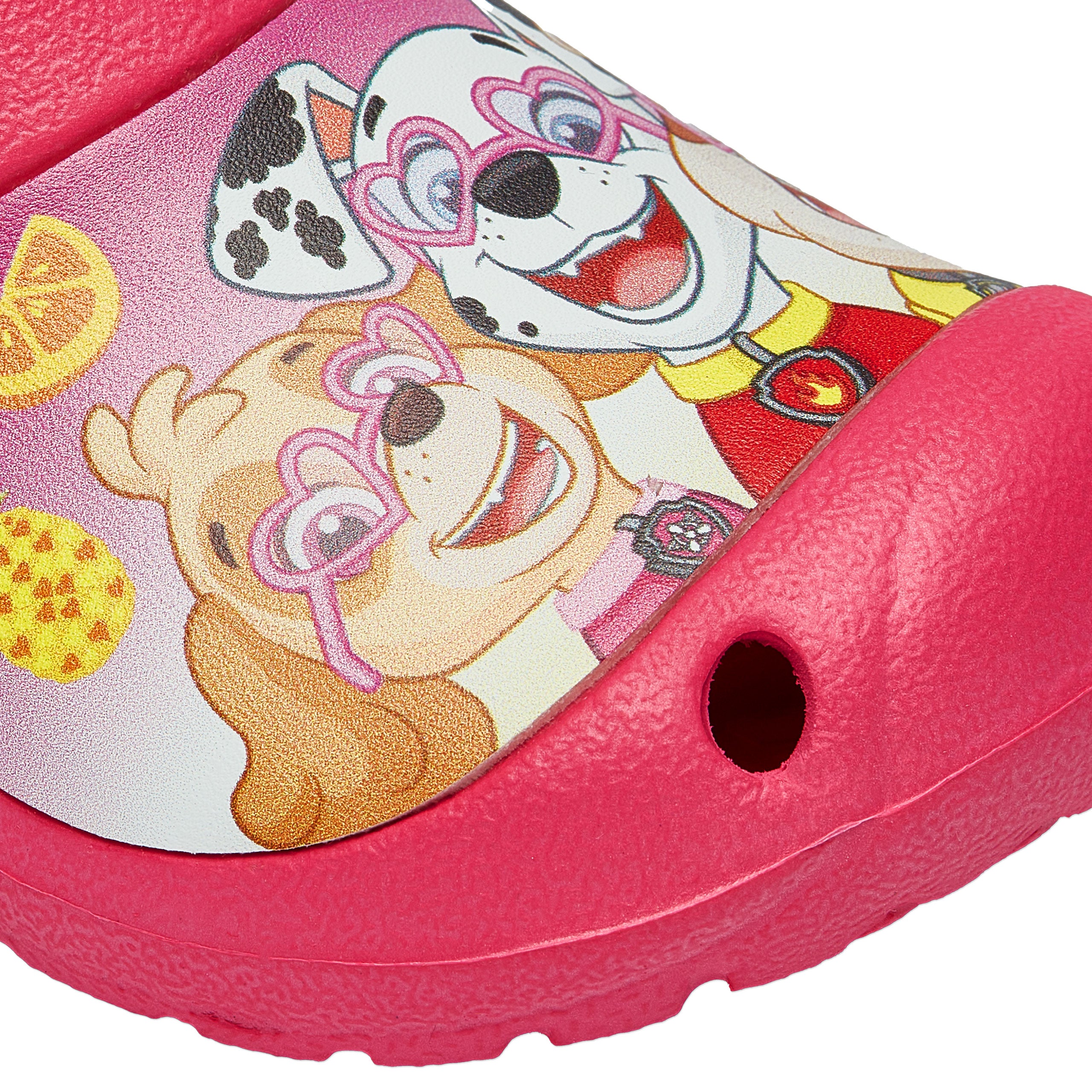 PAW Patrol Skye Clogs