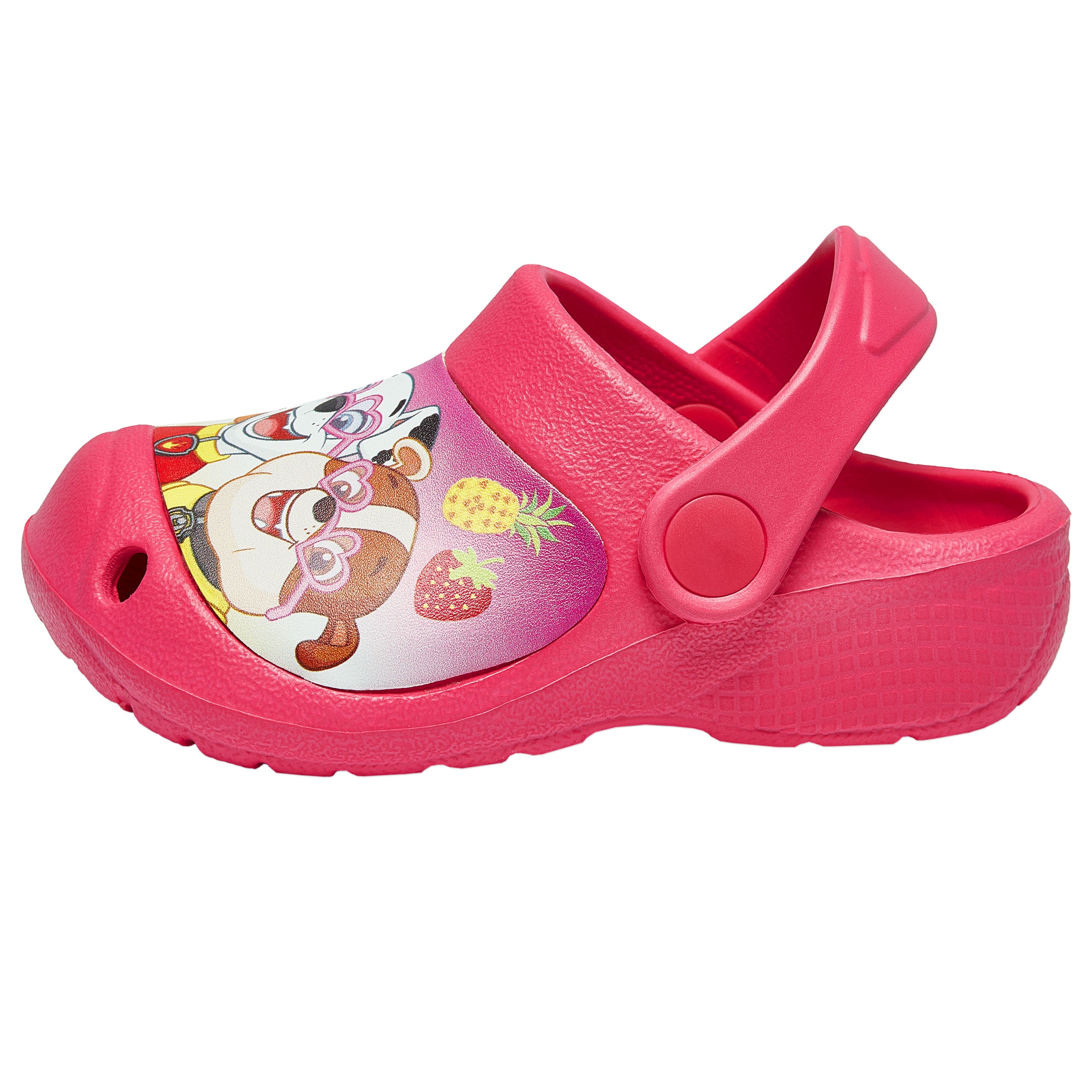 PAW Patrol Skye Clogs