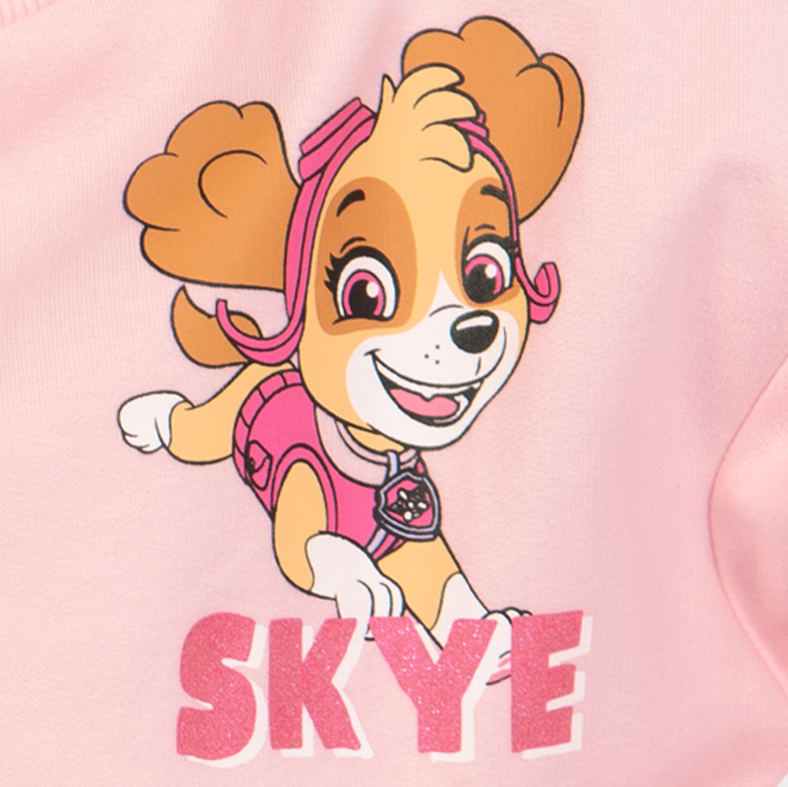 PAW Patrol Skye Sweatshirt