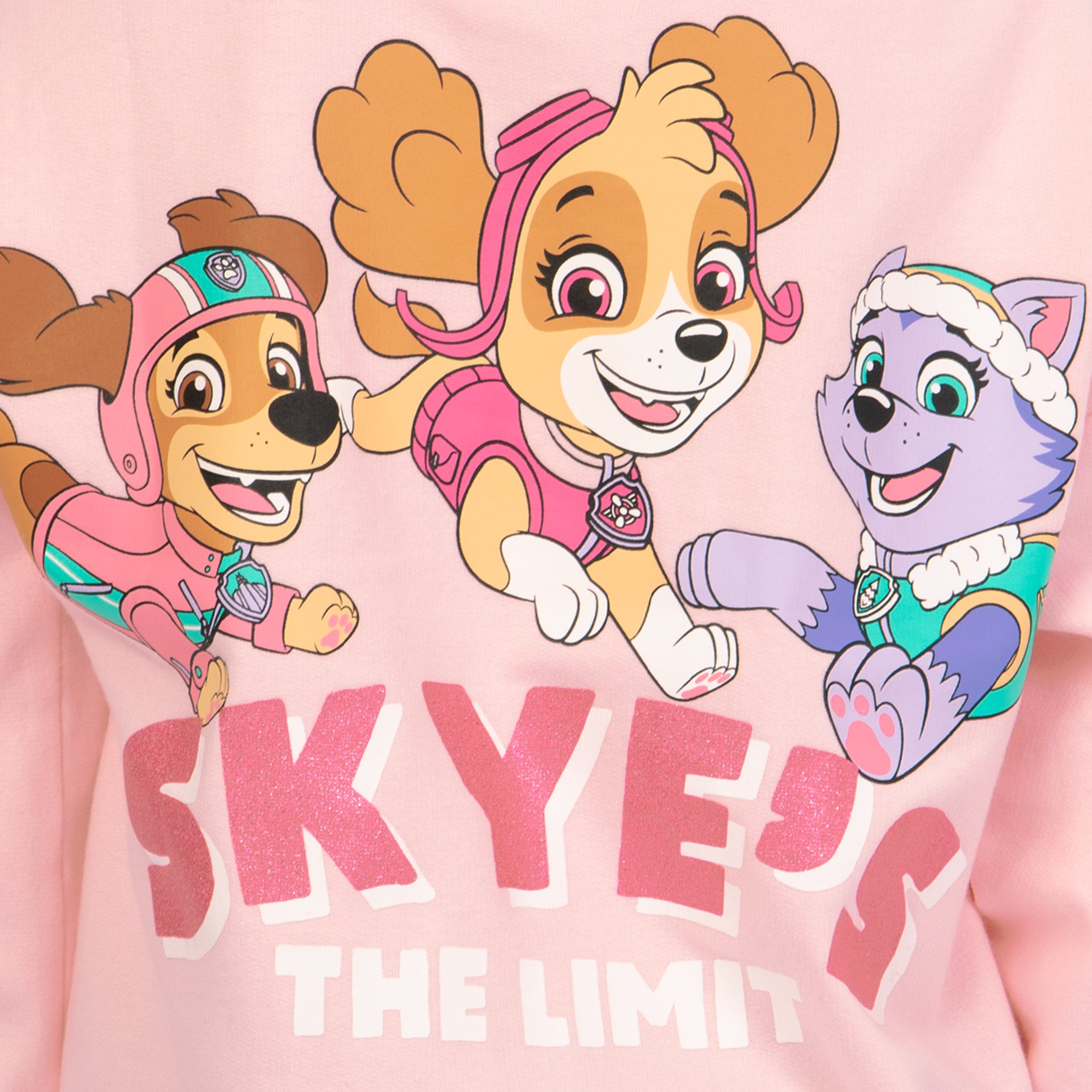 PAW Patrol Skye Sweatshirt