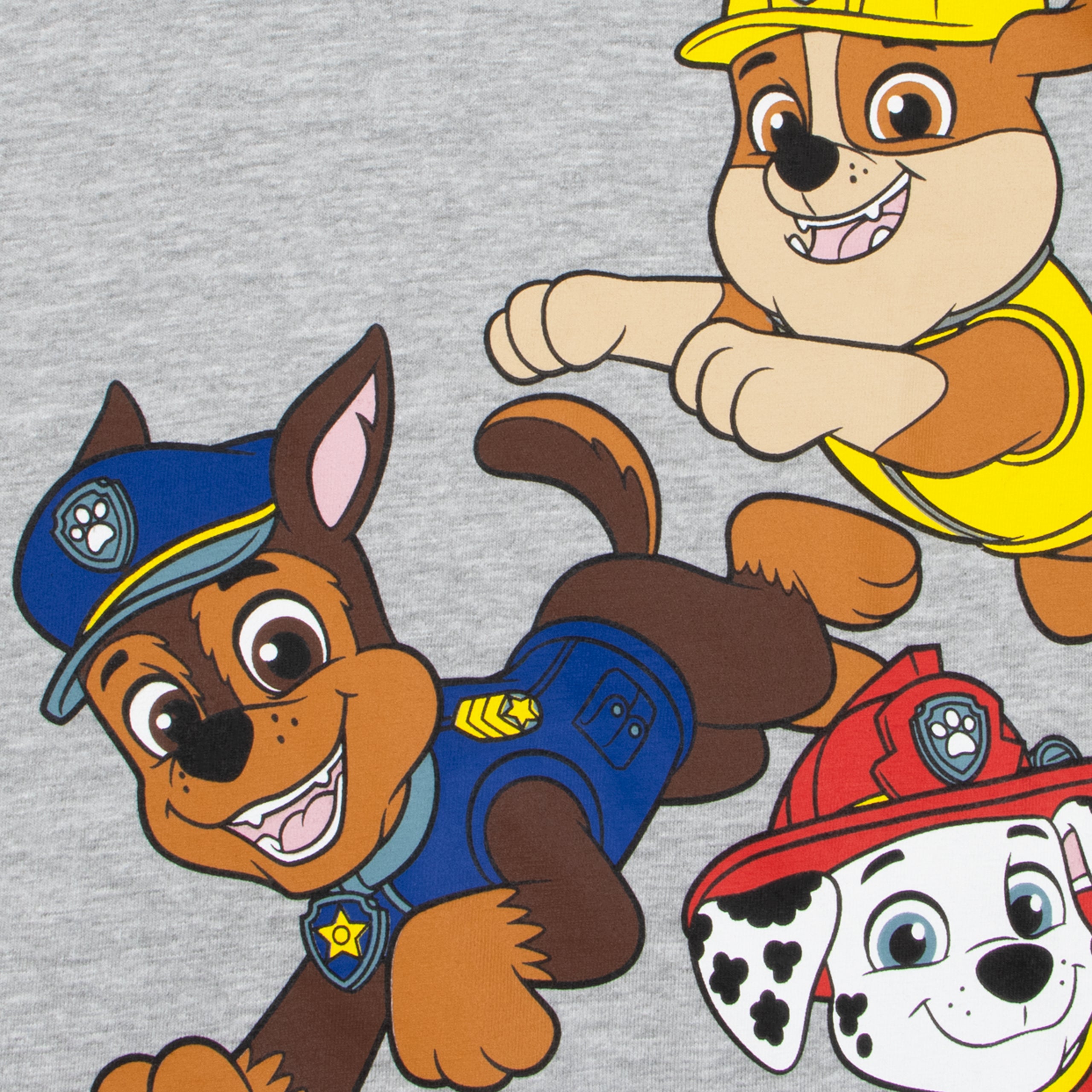 PAW Patrol Tshirt And Shorts Set