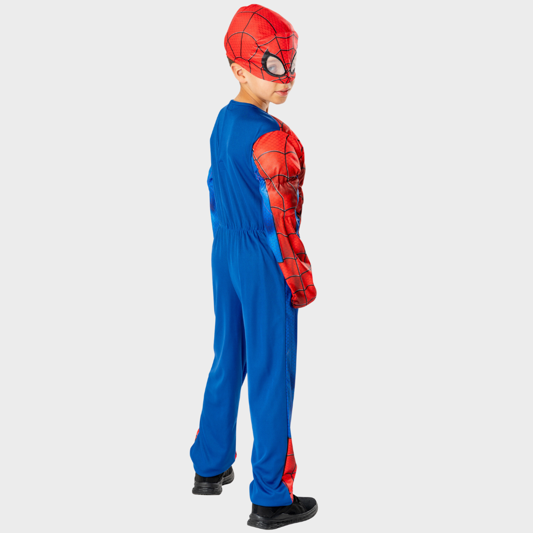 Spiderman Fancy Dress