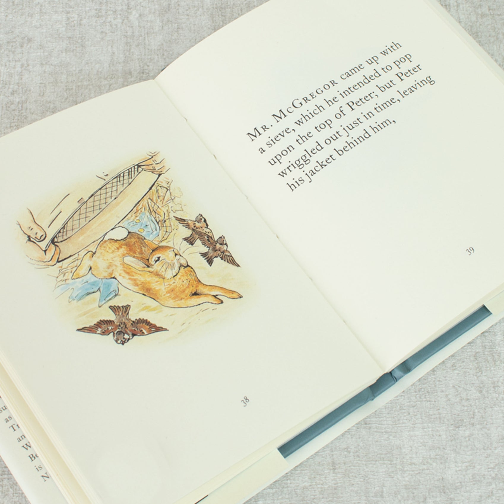 Peter Rabbit Book – Character.com