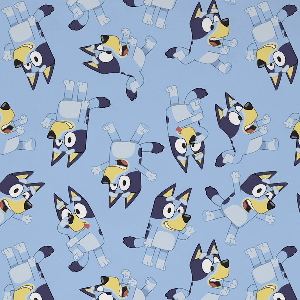 Bluey Blanket | Kids | Character.com